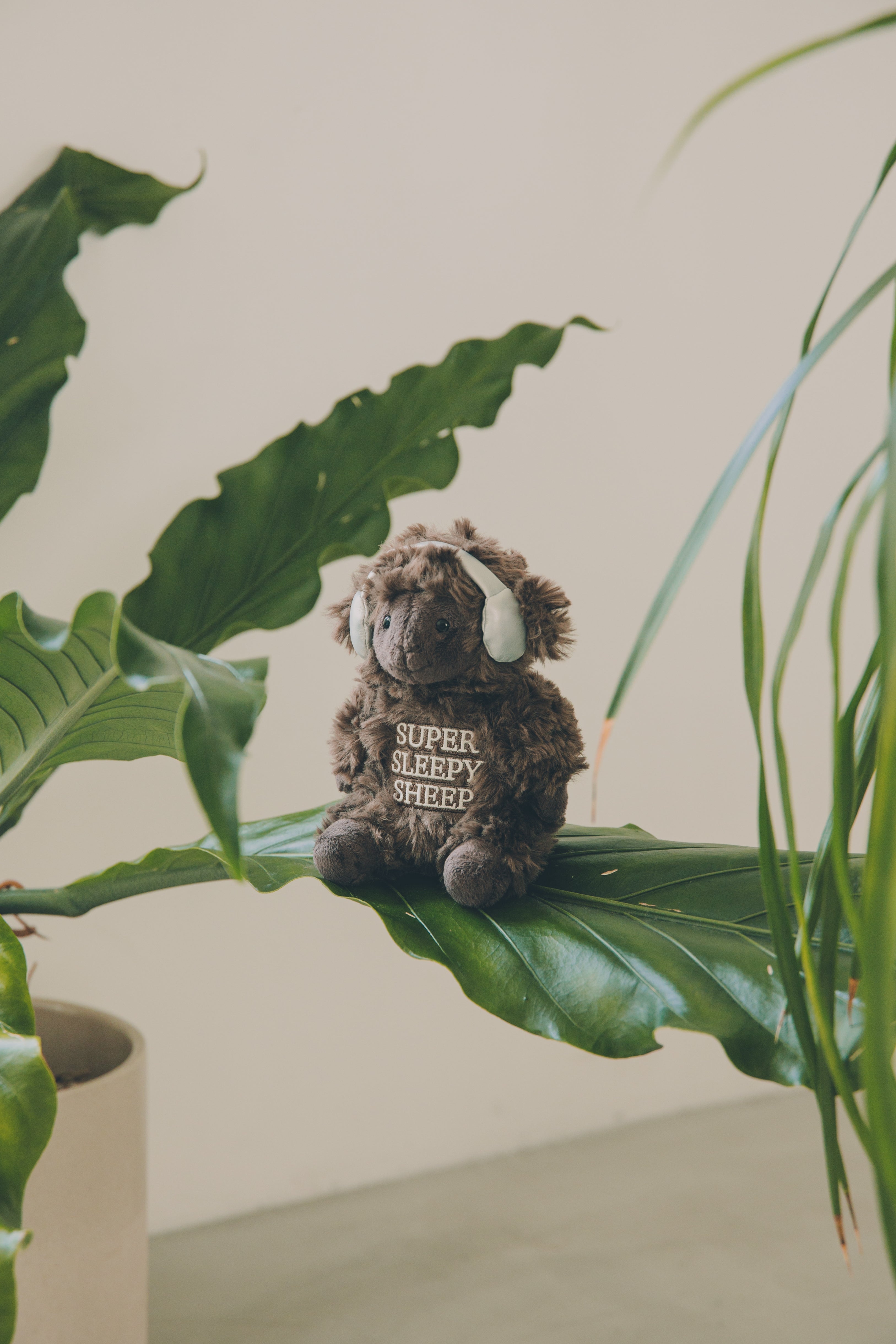 BROWN SHEEP NUI – 長濱ねる OFFICIAL STORE